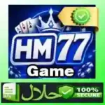 HM77 Game