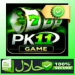PK11 Game