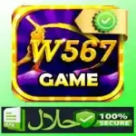 W567 Game