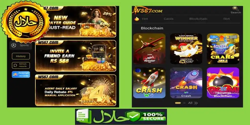 W567 Game